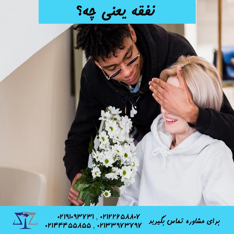 نفقه یعنی چه